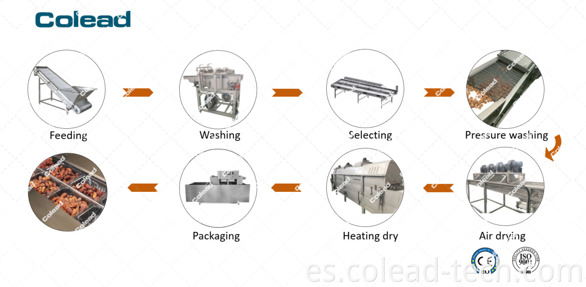 Fechas de procesamiento de la fecha de venta en caliente Fechas de la máquina de procesamiento de frutas de la máquina de la máquina de Colead